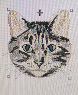 Cara gato bordado