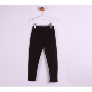 ALM-JGI04780
