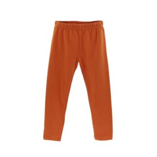 ALM-JGI05773