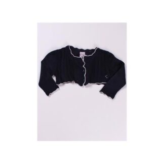 ALM-BGV02252