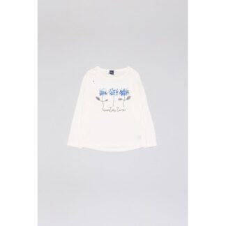 ALM-BBI06079